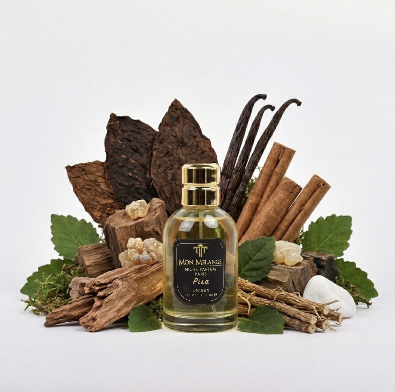 PISA 100 ML NICHE PARFUM